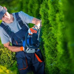 Gardening-Services