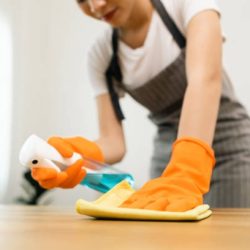housemaid